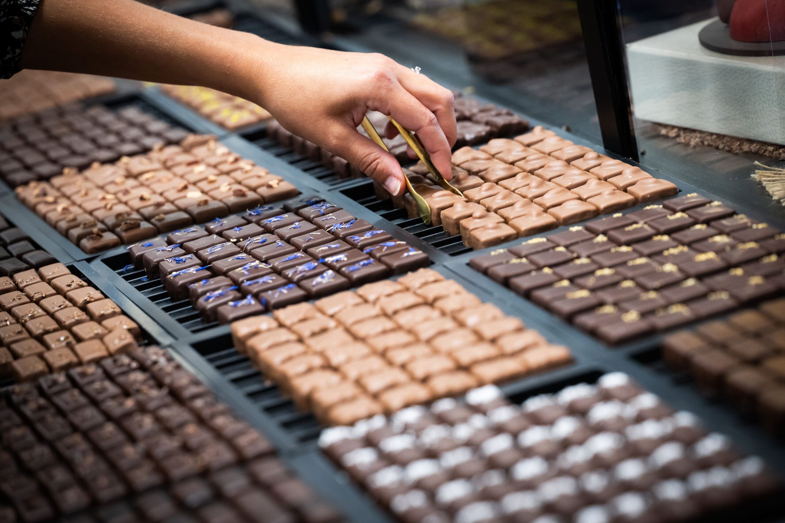 Assortiment de chocolats artisanaux Papa Gâteau